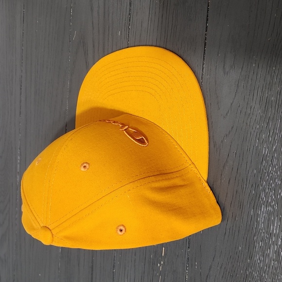 Champion snap back hat - Picture 5 of 7